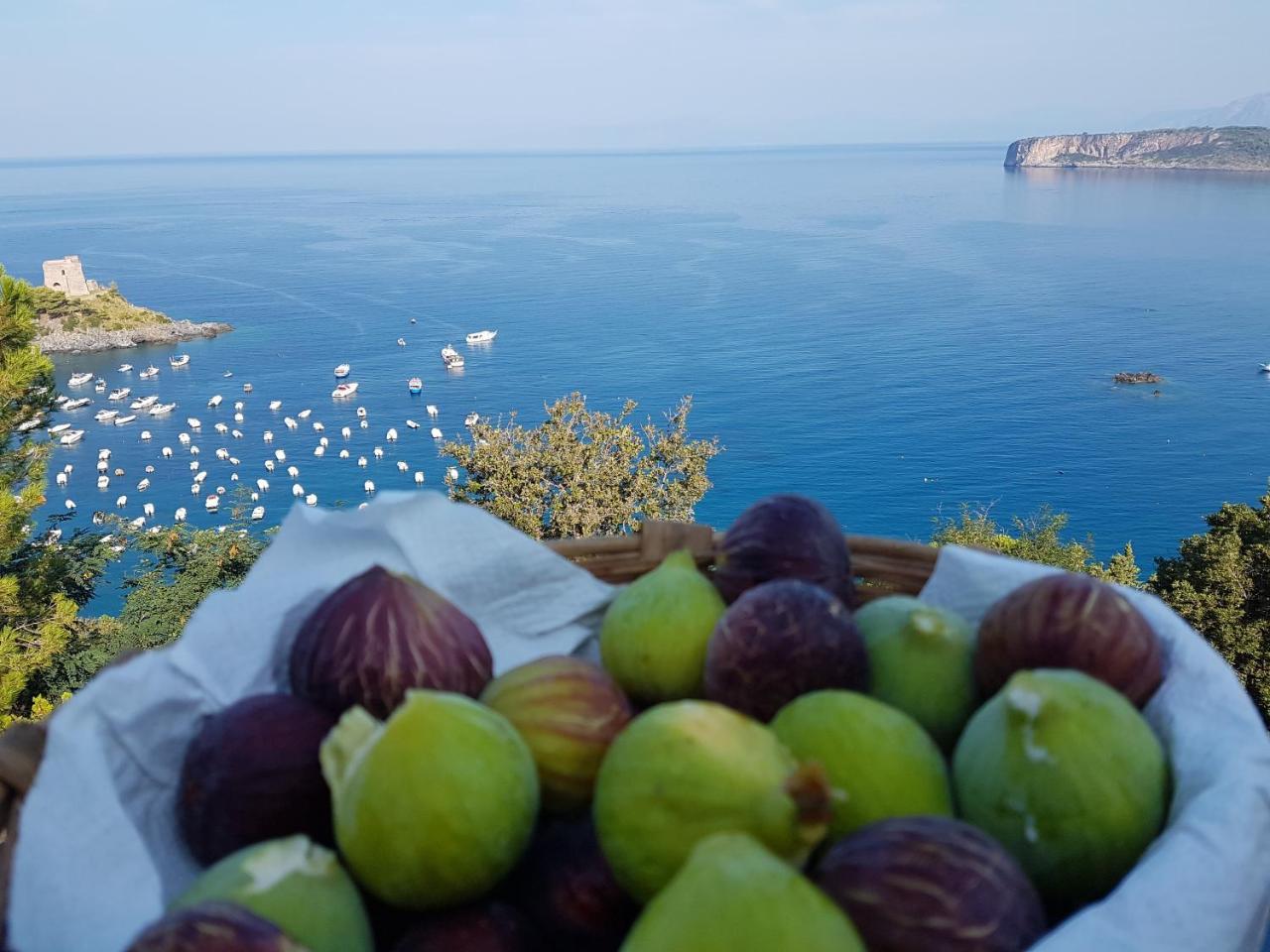 Villa Crawford San Nicola Arcella Buitenkant foto